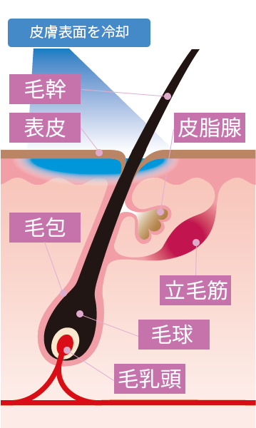 皮膚表面を冷却